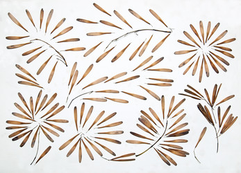 Similar image 11956029