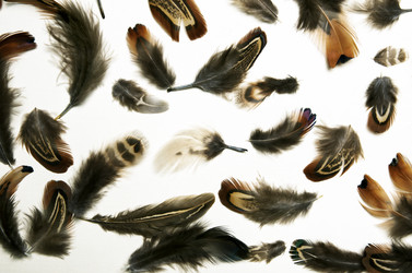 Similar image 11956030