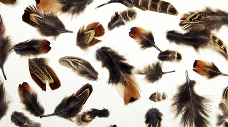 Similar image 11956031