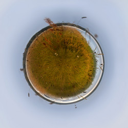 Similar image 11955996