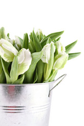 Similar image 11955952