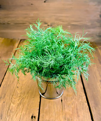 Similar image 11956702