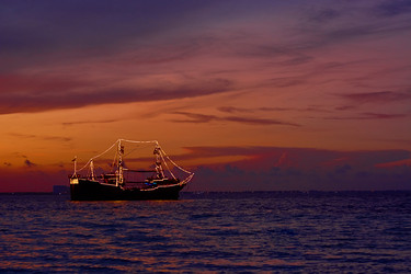 Similar image 11956234