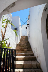 Similar image 11955964