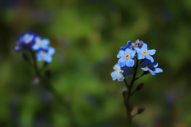 Similar image 11956038