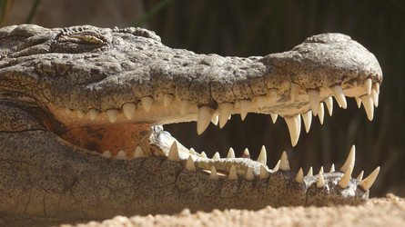 Similar image 11955966