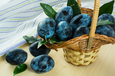 Similar image 11957099