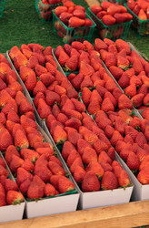 Similar image 11957905