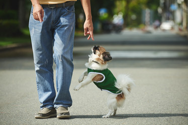 Similar image 11958092