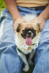 Similar image 11958112