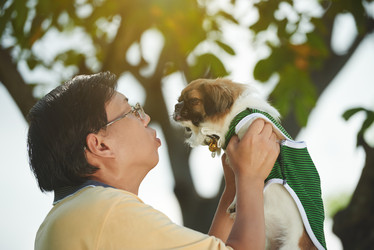 Similar image 11958114