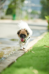 Similar image 11958119