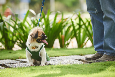 Similar image 11958120