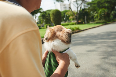 Similar image 11958125