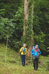 Similar image 11958141