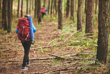 Similar image 11958154