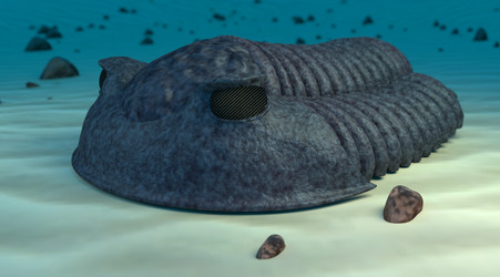 Similar image 11961180