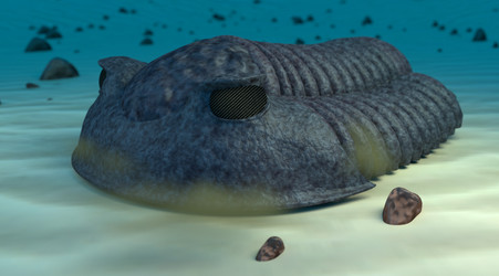 Similar image 11961144