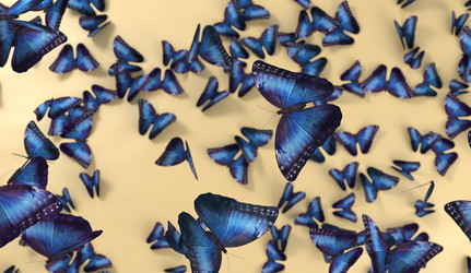 Similar image 11961147