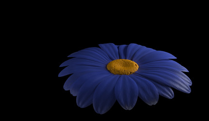 Similar image 11961202