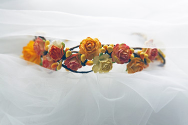 Similar image 11960502