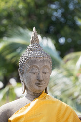 Similar image 11959759