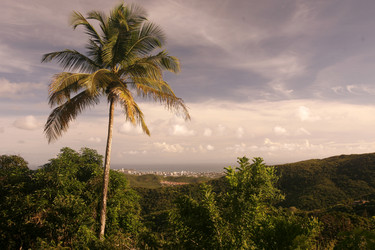 Similar image 11959762