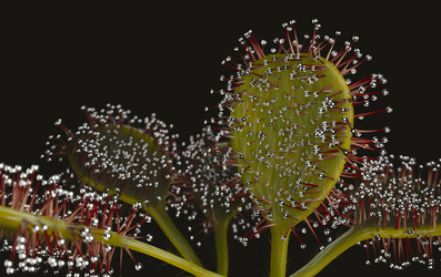 Similar image 11961244