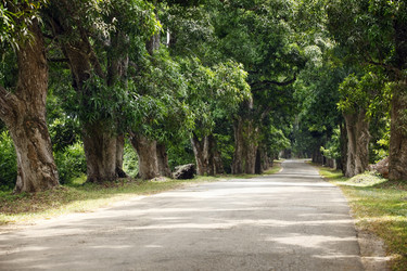 Similar image 11960443