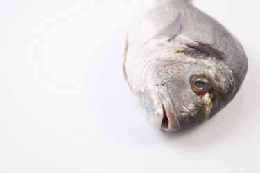 Similar image 12037369