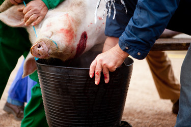 Similar image 11967391