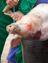 Similar image 11967392