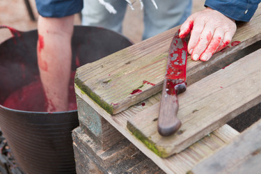 Similar image 12037279