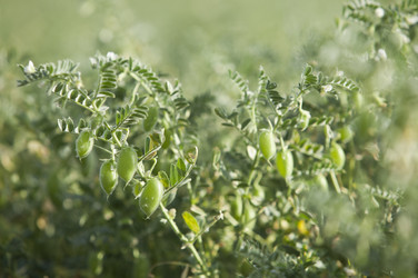 Similar image 12037352