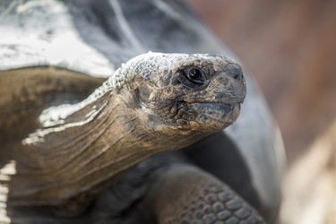 Similar image 11967394