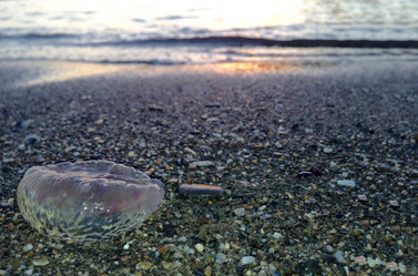 Similar image 12037337