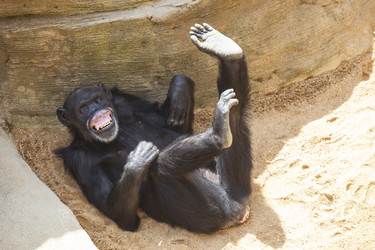 Similar image 12037373