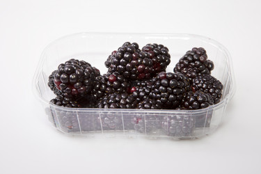 Similar image 12037359