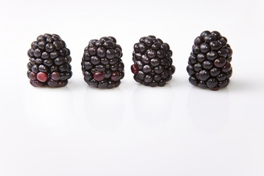 Similar image 12037360