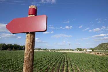 Similar image 12037318