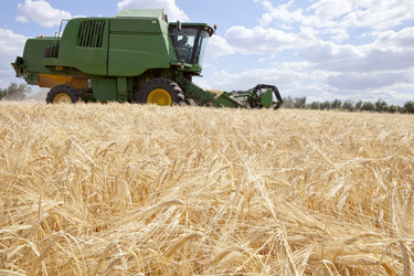 Similar image 12037311