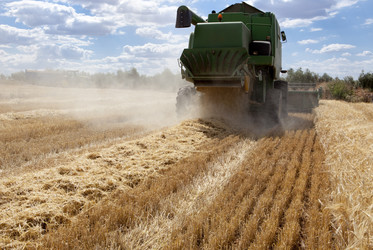 Similar image 12037313