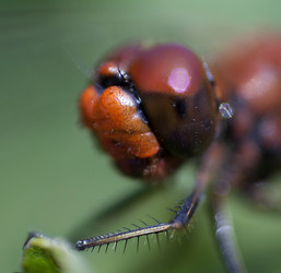 Similar image 11961231