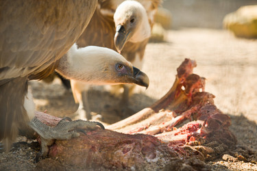 Similar image 12037322