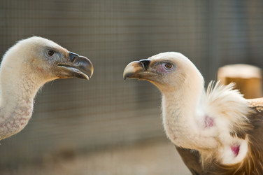 Similar image 12037321