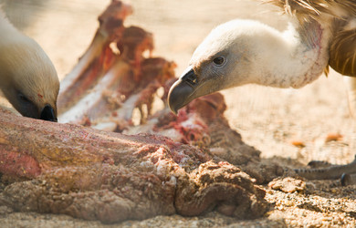 Similar image 12037323