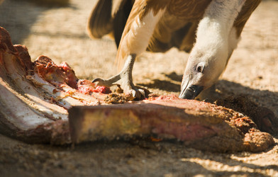 Similar image 12037327