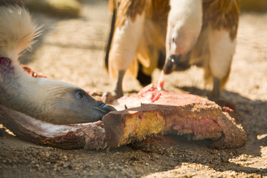 Similar image 12037329