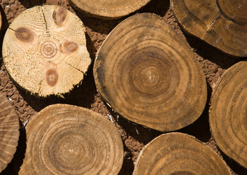 Similar image 12037346