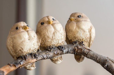 Similar image 11966908